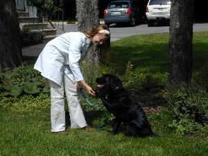 Veterinarian's Oath